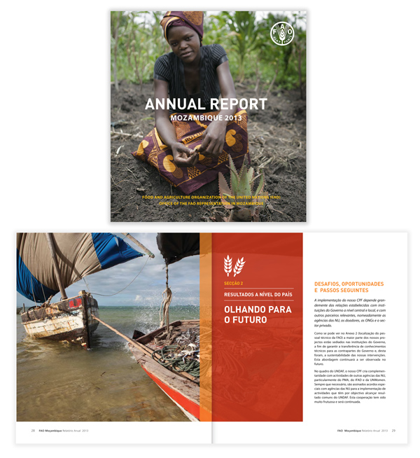 FAO_Annual_Report_Mozambique