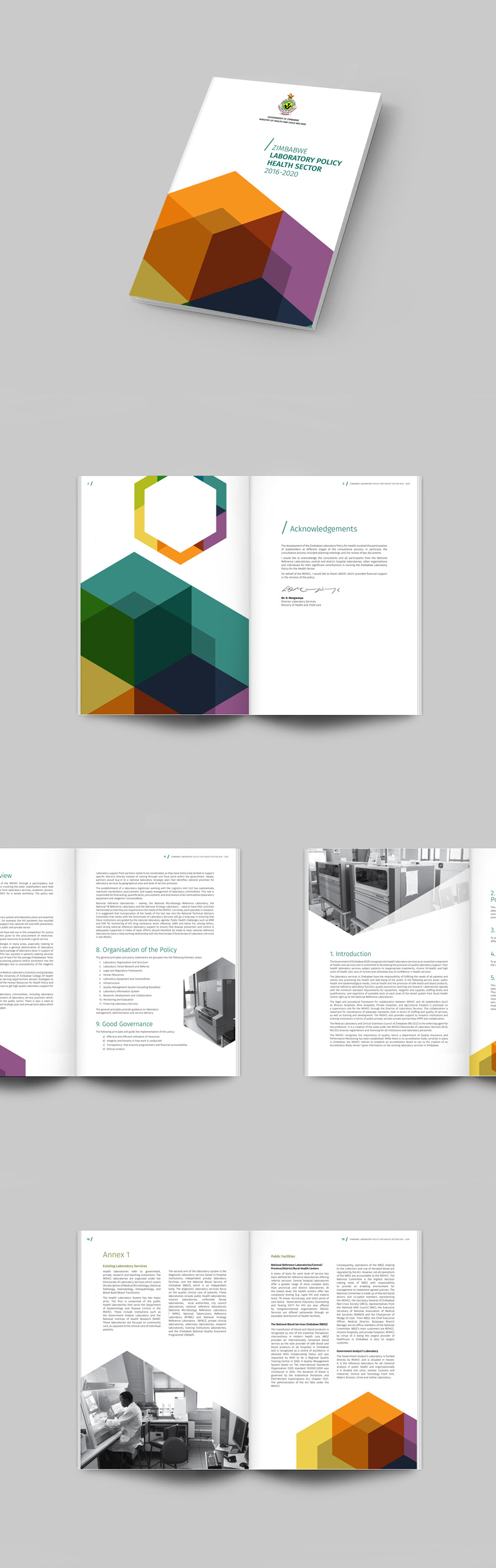 CHAI_Zim_Lab_Strategy