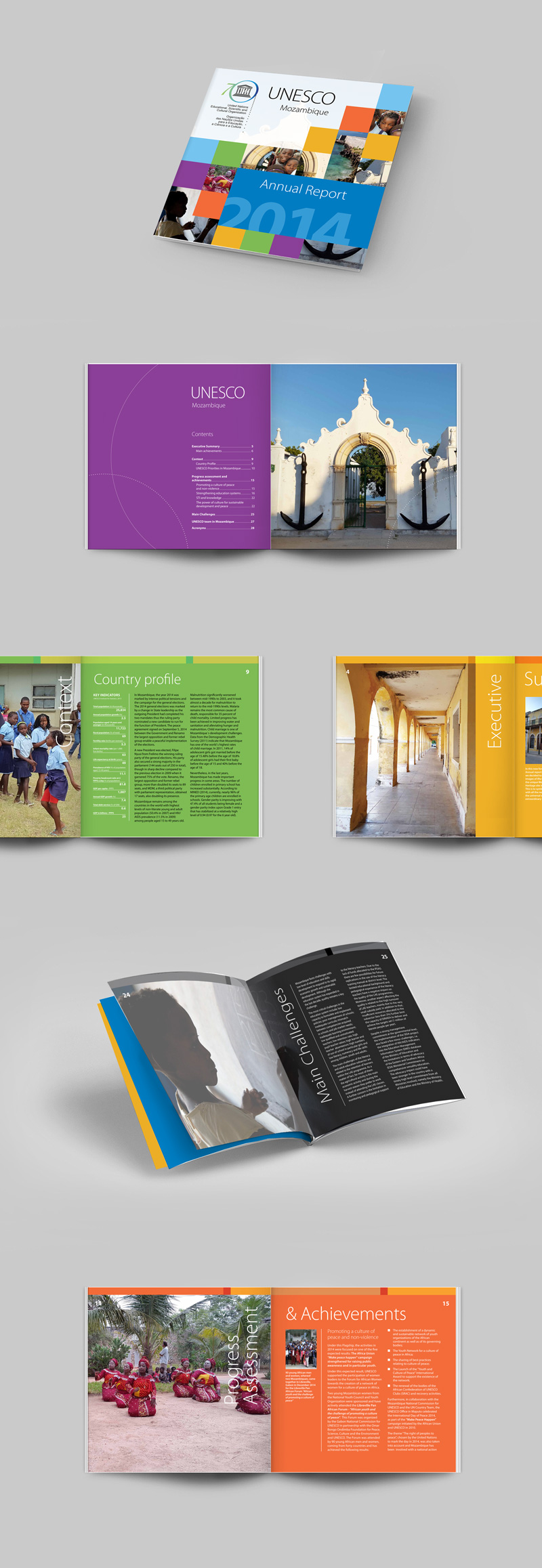 DESIGNEID_UNESCO_Annual_Report