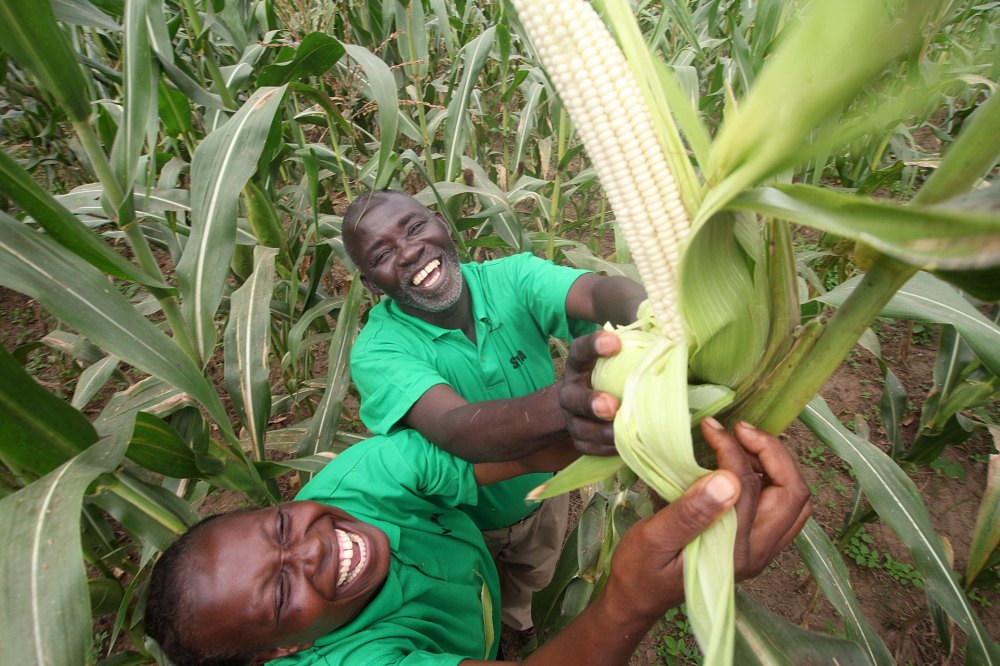 Initiative for Soaring Food Prices and the FAO/EU Food Facility